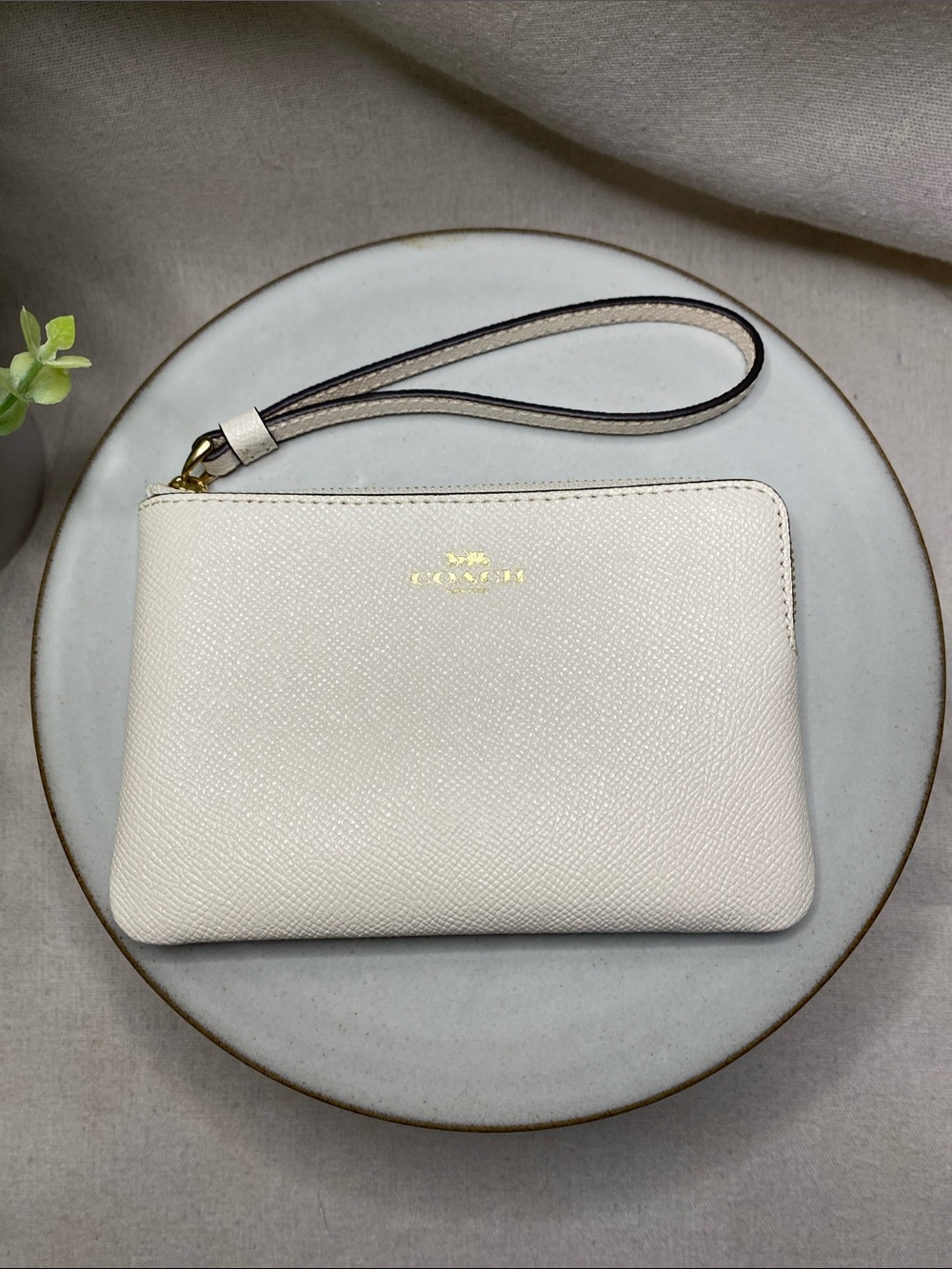 Coach Women's Small Corner Zip Wristlet in Pebbled Leather (Chalk)